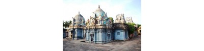 திருக்கொலிலி - ஆவணி விதங்கர் - பிருங்க நடனம்